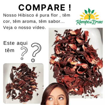 Chá Orgânico Hibisco 