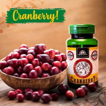 Cranberry - 60 Cápsulas de 500mg