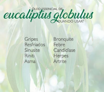 Blend Imunidade Respiratória - Óleo Essencial  Menta Piperita, Eucalipto, Lavandin