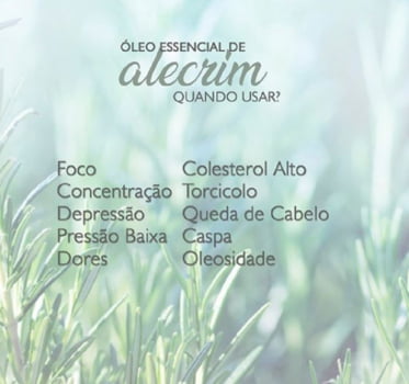Blend Concentração - Óleo Essencial  Alecrim + Menta Piperita