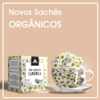 Chá Orgânico Camomila
