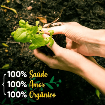 CHÁ ORGÂNICO DE GENGIBRE COM ERVA MATE