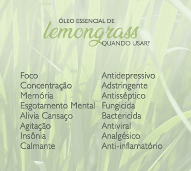  Difusor Standard + Óleo Essencial Lavanda e Lemongrass