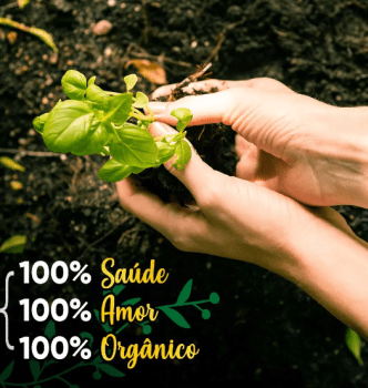 Canela do Ceilão em Pó - 60g