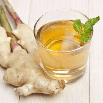 CHÁ ORGÂNICO DE GENGIBRE COM ERVA MATE