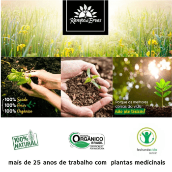 Chá Orgânico Hibisco 