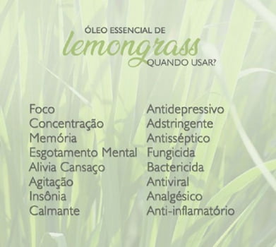 Óleo Essencial Lemongrass Capim Limão - Erva Cidreira - Puro