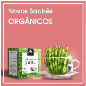 Chá Orgânico Carqueja - Kampo de Ervas